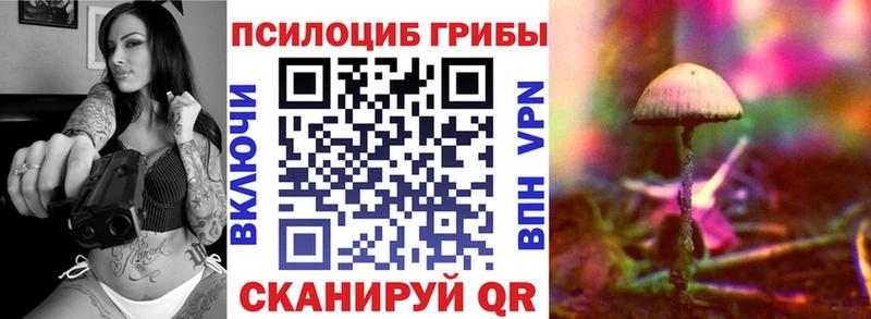 где продают наркотики  Разумное  блэк спрут ссылка  Псилоцибиновые грибы мицелий 